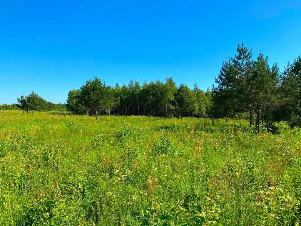 Участок в Тульская область, Заокский район, Страховское с/пос, д. ... - Фото 2