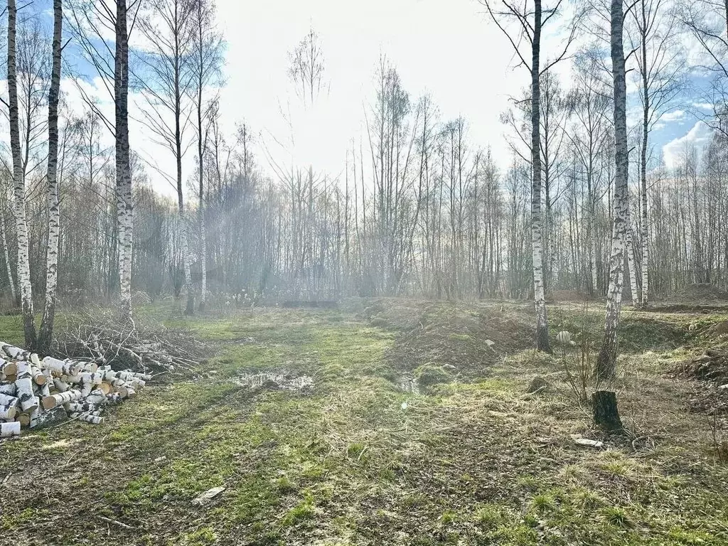 Участок 4,3 сот. (ИЖС) - Фото 0