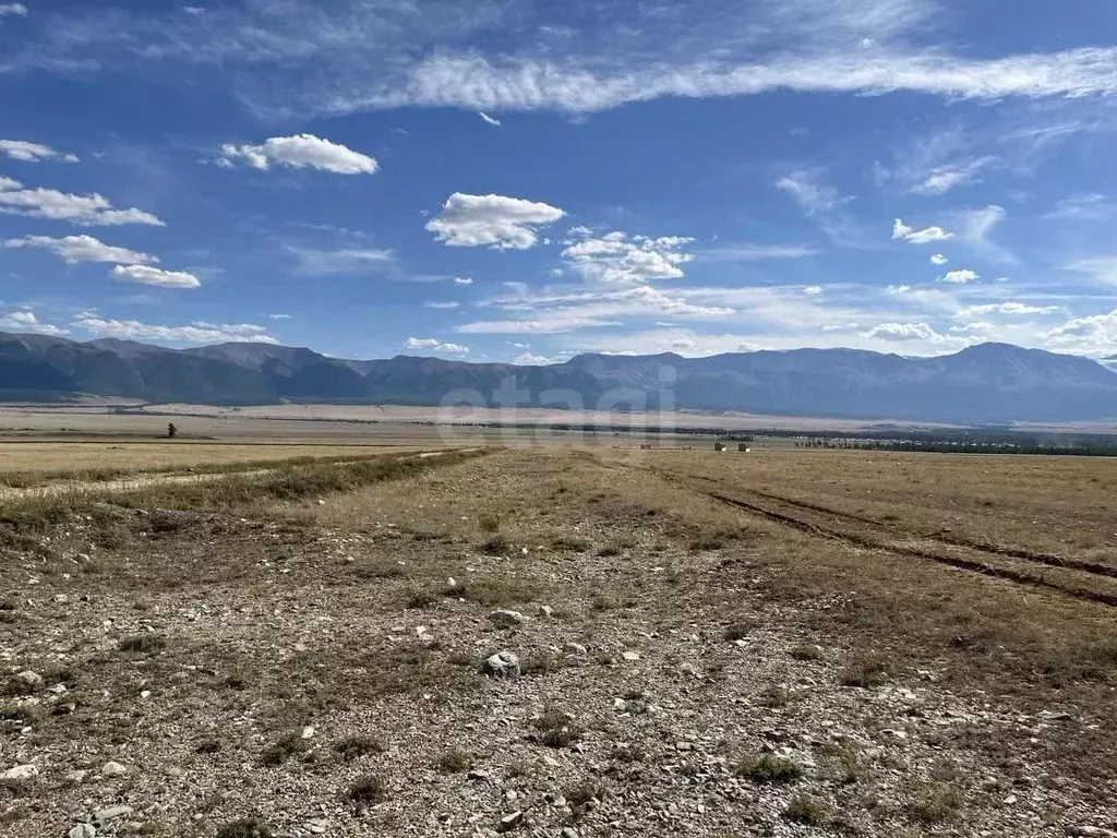 Участок в Алтай, Кош-Агачский район, с. Курай  (20.2 сот.) - Фото 1