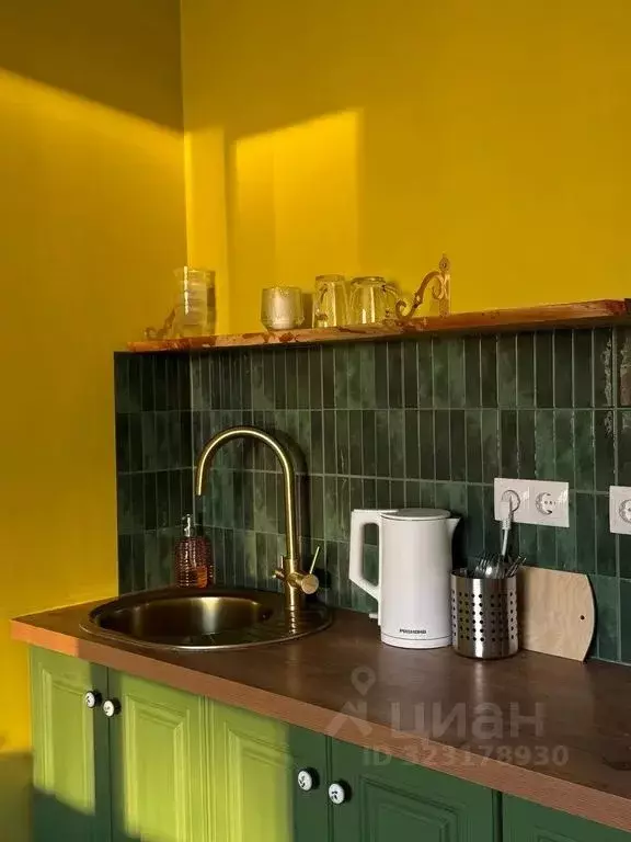 Студия Свердловская область, Екатеринбург ул. Репина, 109/2 (24.0 м) - Фото 2