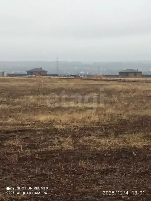 Участок в Мордовия, Кочкуровский район, с. Булгаково ул. Колесникова, ... - Фото 2