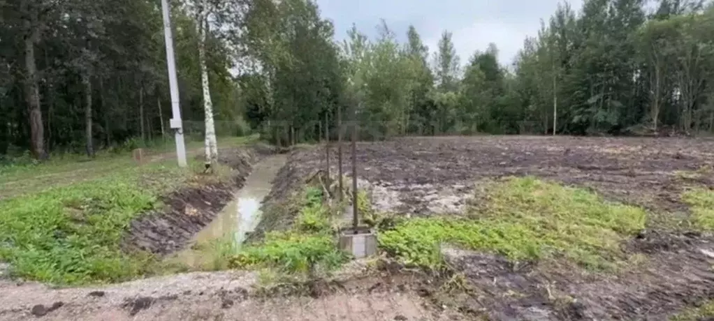 Участок в Новгородская область, Новгородский район, Панковское ... - Фото 1
