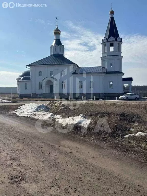 Участок в село Новая Усмань, улица Пожарского, 31 (10 м) - Фото 2