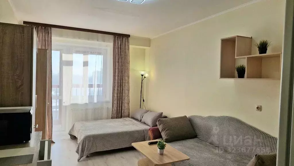 Студия Московская область, Старая Купавна Богородский городской округ, ... - Фото 1