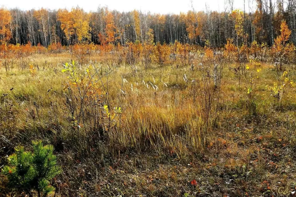 Участок в Коми, Ухта ул. Калиновая (8.0 сот.) - Фото 2