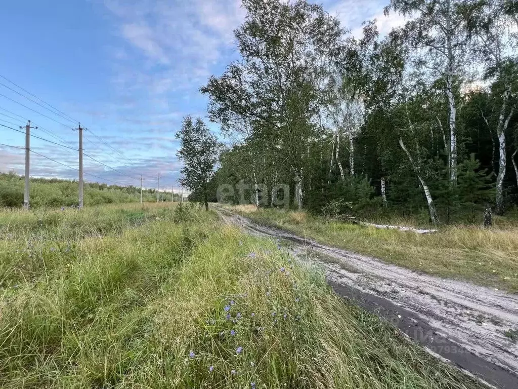 Участок в Курганская область, Курган пос. Теплый Стан, ул. 4-я ... - Фото 1