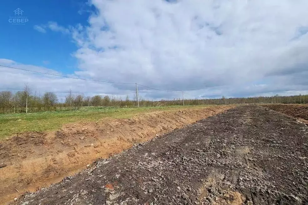 Участок в Новгородская область, Новгородский район, Савинское с/пос, ... - Фото 2
