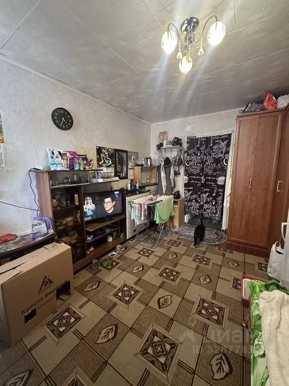 Комната Свердловская область, Екатеринбург ул. Индустрии, 123 - Фото 1