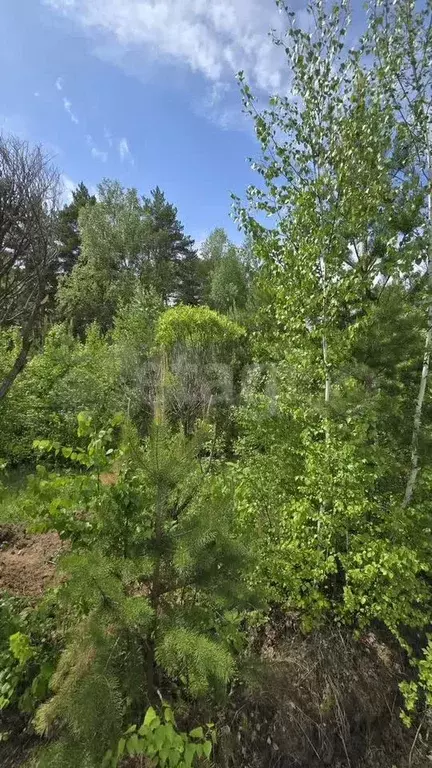 Участок 6 сот. (ИЖС) - Фото 0
