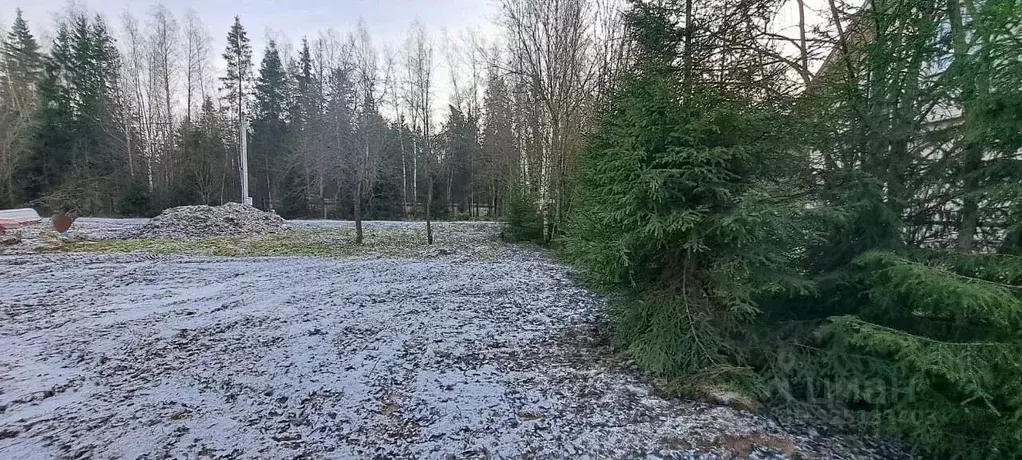 Участок в Московская область, Истра муниципальный округ, д. Сокольники ... - Фото 2