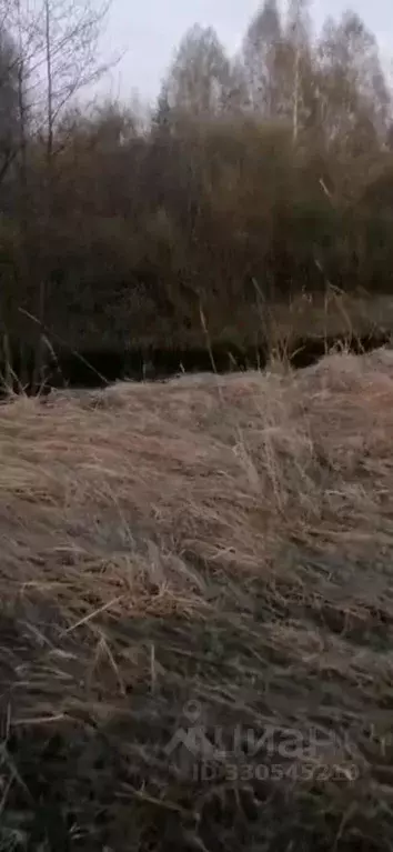 Участок в Тверская область, Калининский муниципальный округ, д. Новое ... - Фото 2
