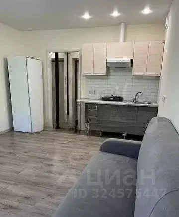 Студия Новосибирская область, Новосибирский район, пос. Мичуринский ... - Фото 2