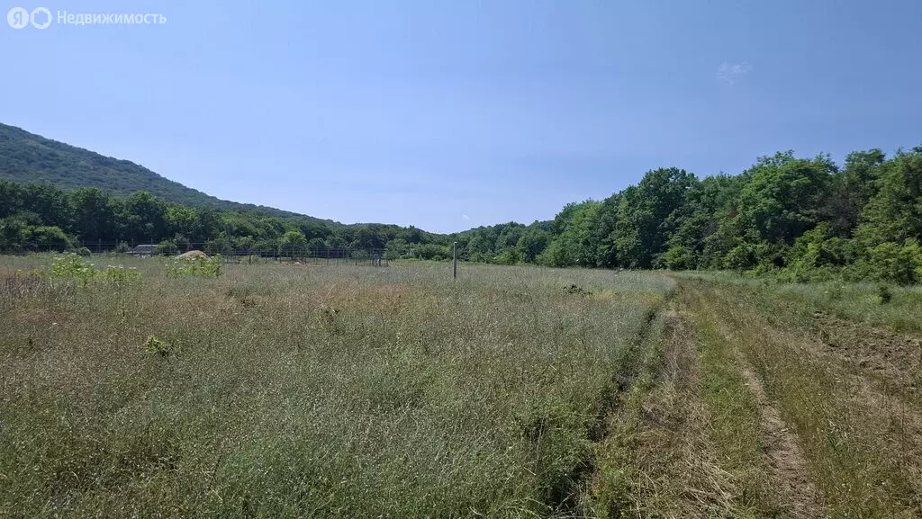 Участок в Белогорский район, село Земляничное (12 м) - Фото 1