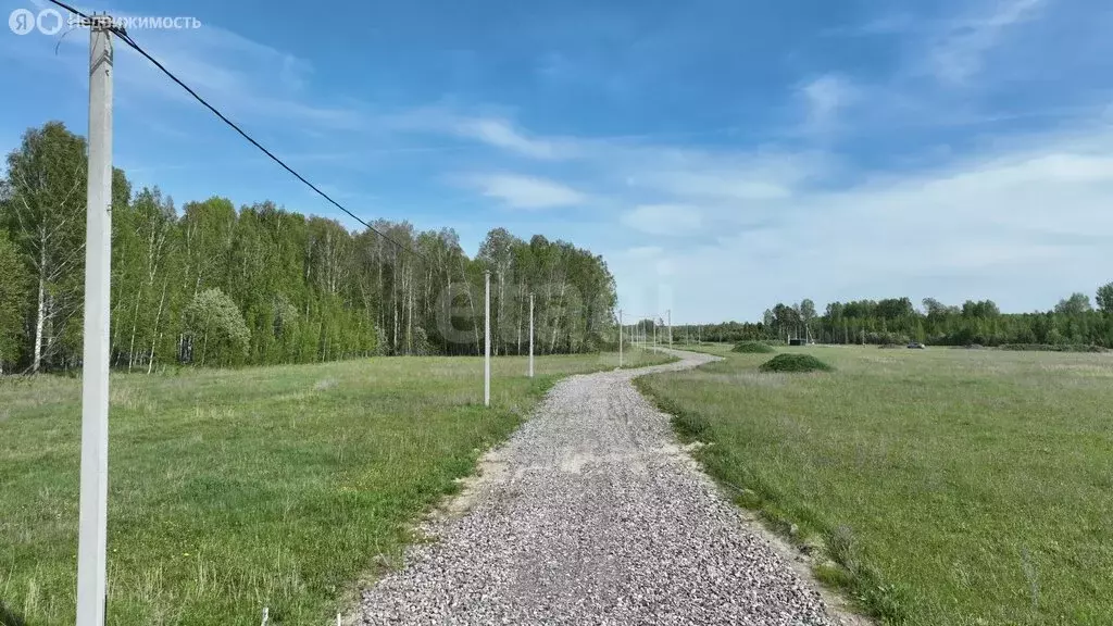 Участок в Тюменская область, Нижнетавдинский муниципальный округ, ... - Фото 2