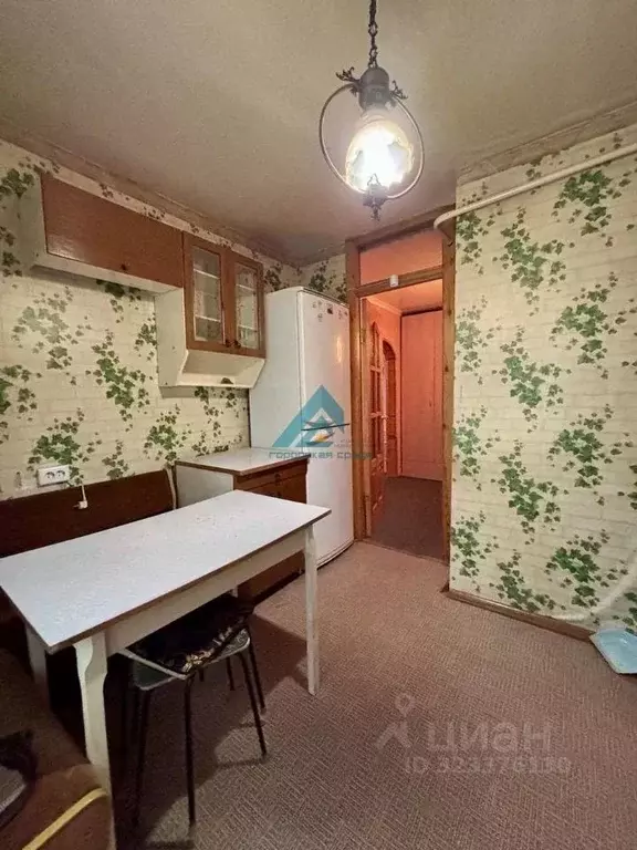 2-к кв. Оренбургская область, Оренбург Брестская ул., 30 (49.9 м) - Фото 2