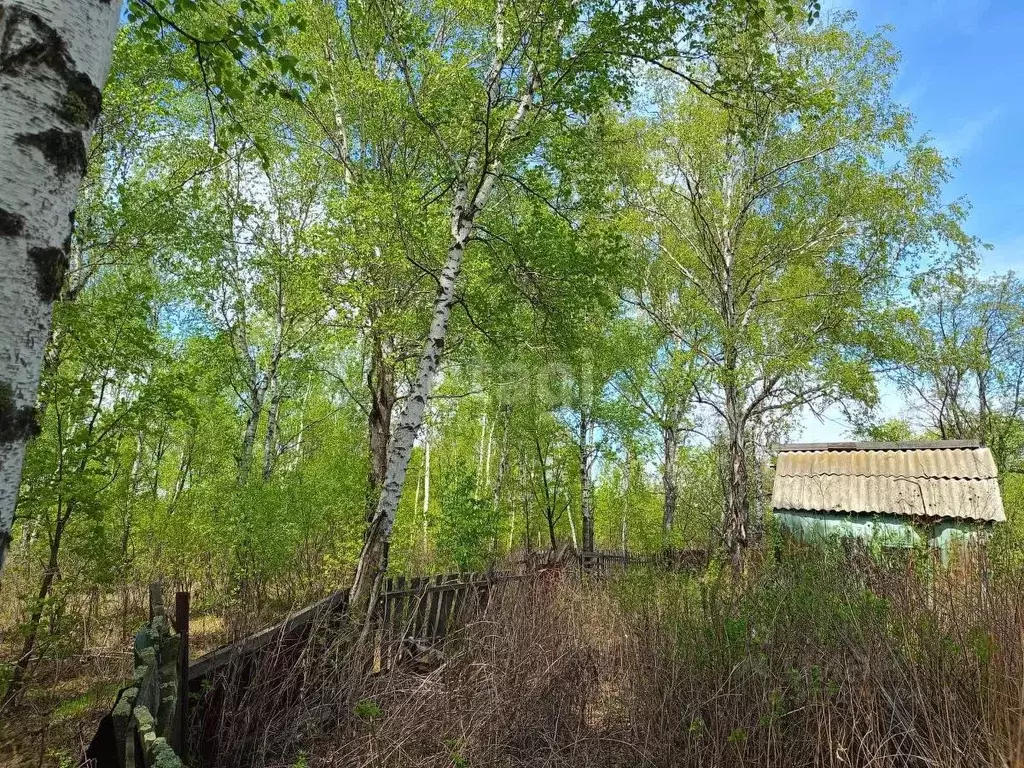 Участок в Амурская область, Благовещенский район, с. Кантон-Коммуна  ... - Фото 0