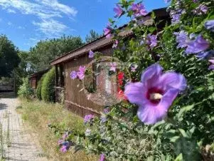 Участок в Крым, Черноморский район, Оленевское с/пос, с. Оленевка ул. ... - Фото 0