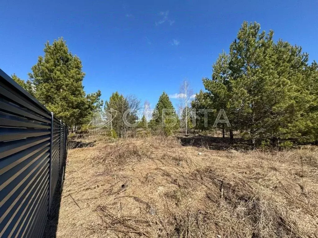 Участок в Тюменская область, Нижнетавдинский район, Березка СНТ  (25.0 ... - Фото 1