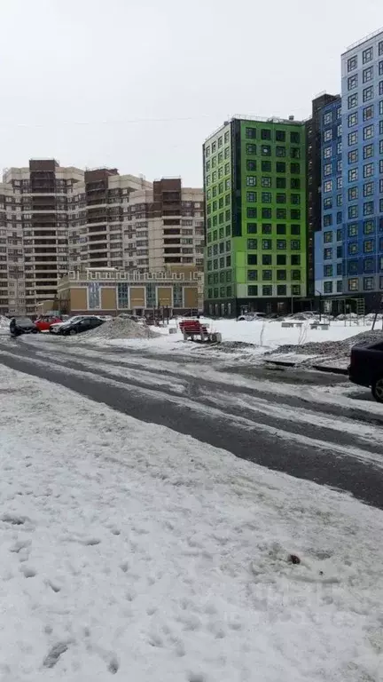 Студия Ленинградская область, Мурино Всеволожский район, ул. Шоссе в ... - Фото 0