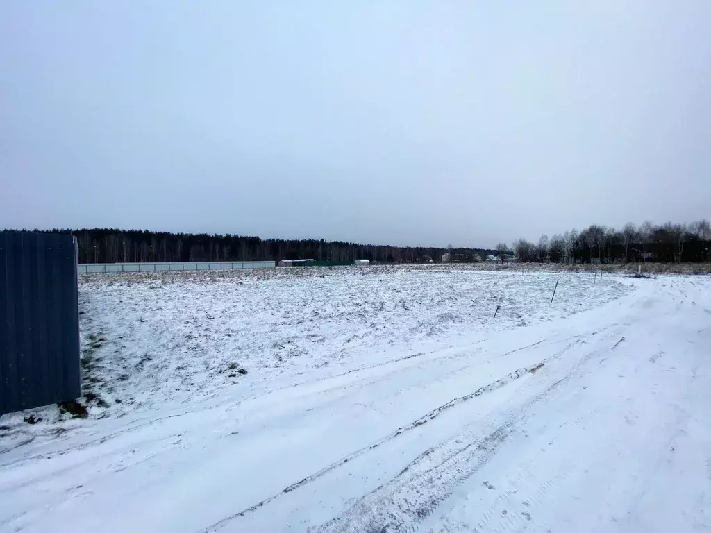 Участок в Московская область, Щелково городской округ, д. Дуброво  ... - Фото 2
