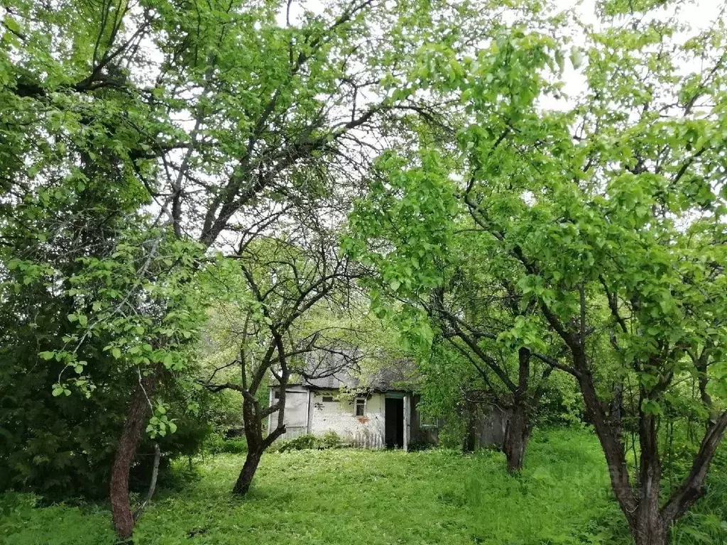 Участок в Калужская область, Износковский район, Мятлево с/пос, д. ... - Фото 0