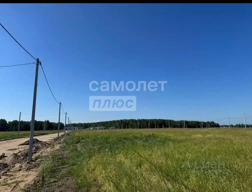Участок в Алтайский край, Первомайский район, с. Фирсово  (801.0 сот.) - Фото 2