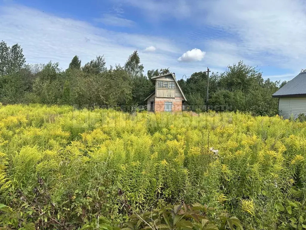Участок в Смоленская область, Смоленский муниципальный округ, Аушра ... - Фото 1