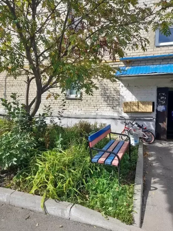 1-к кв. Челябинская область, Еткульский муниципальный округ, пос. ... - Фото 2