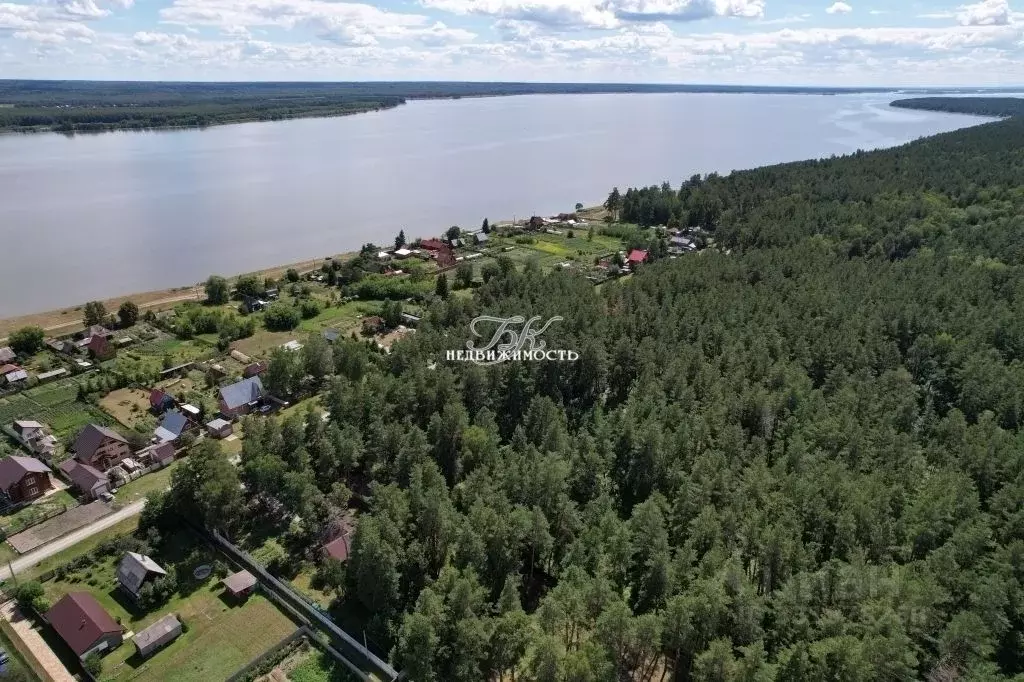 Участок в Новосибирская область, Ордынский район, с. Спирино Боровая ... - Фото 2