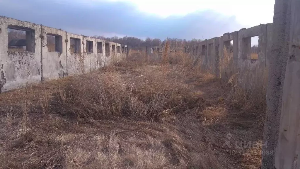 Производственное помещение в Омская область, Горьковский район, д. ... - Фото 1