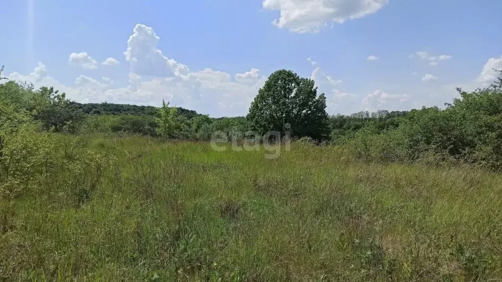 Участок в Белгородская область, Белгородский район, Беломестненское ... - Фото 2