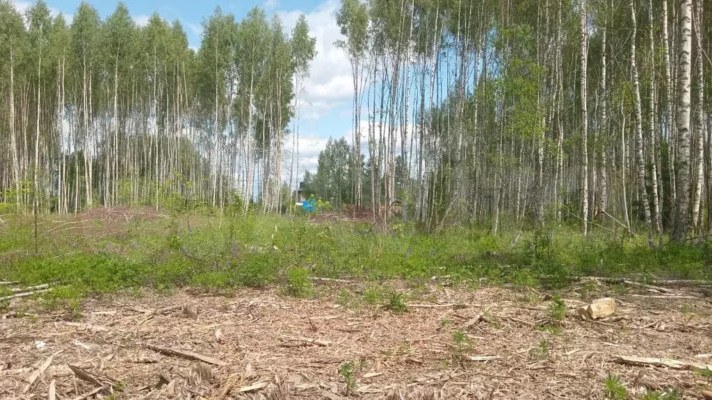 Участок 9,6 сот. (ИЖС) - Фото 1