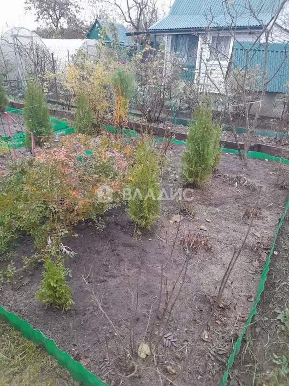 Дом в Владимирская область, Владимир Уварово СНТ, 82 (25 м) - Фото 2