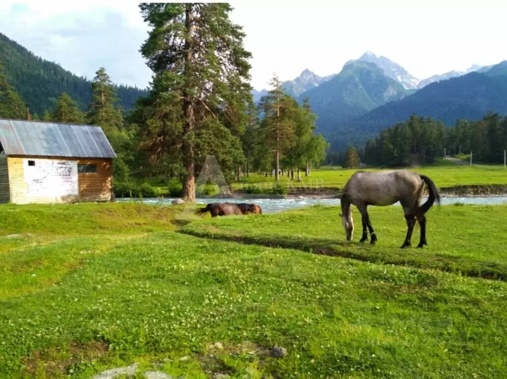 Участок в Карачаево-Черкесия, Зеленчукский район, с. Архыз ул. ... - Фото 1