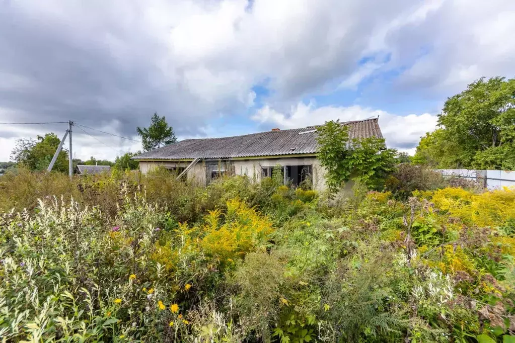 Участок в Хабаровский край, Хабаровский район, Тополевское с/пос, с. ... - Фото 2