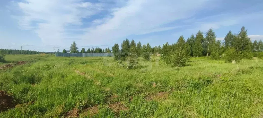 Участок в Марий Эл, Йошкар-Ола городской округ, д. Шоя-Кузнецово ул. ... - Фото 1