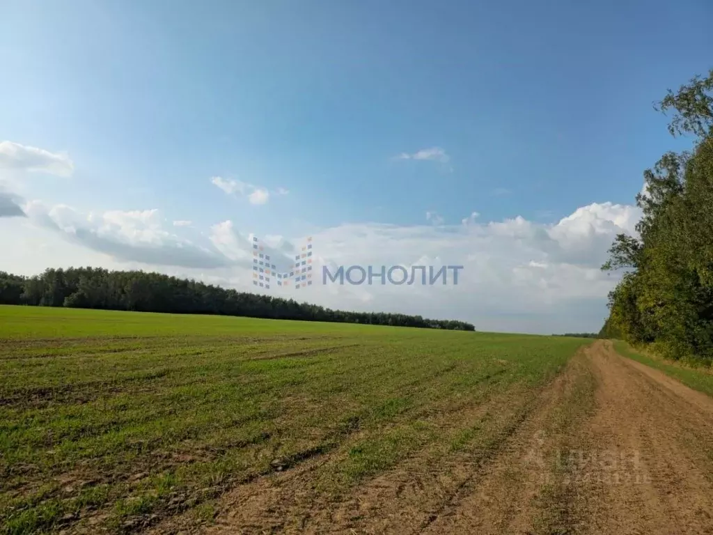 Участок в Нижегородская область, Дальнеконстантиновский муниципальный ... - Фото 1
