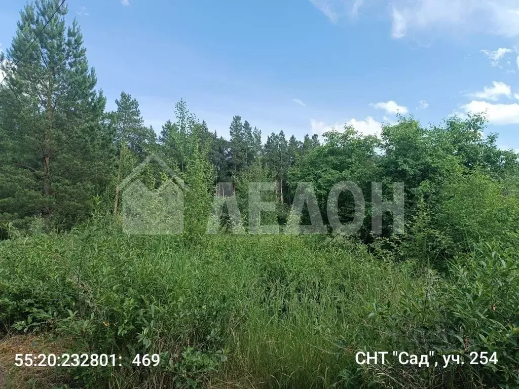 Участок в Омская область, Омский район, с. Усть-Заостровка ул. 4-я ... - Фото 1