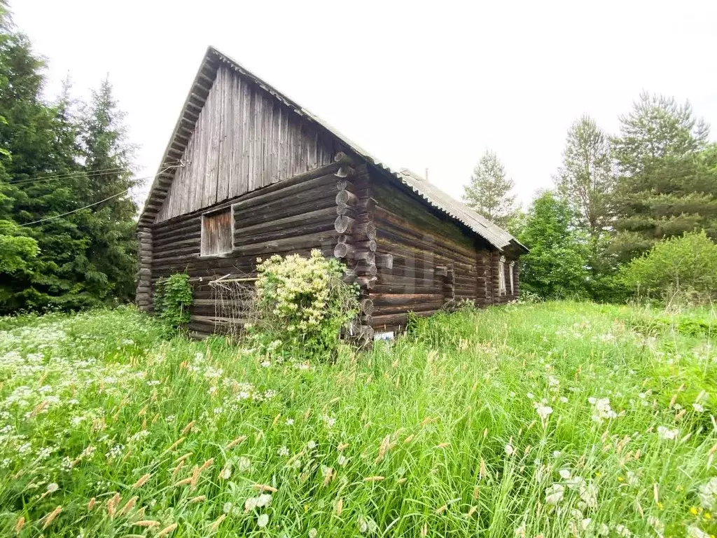 Участок в Ярославская область, Рыбинский муниципальный округ, д. ... - Фото 1