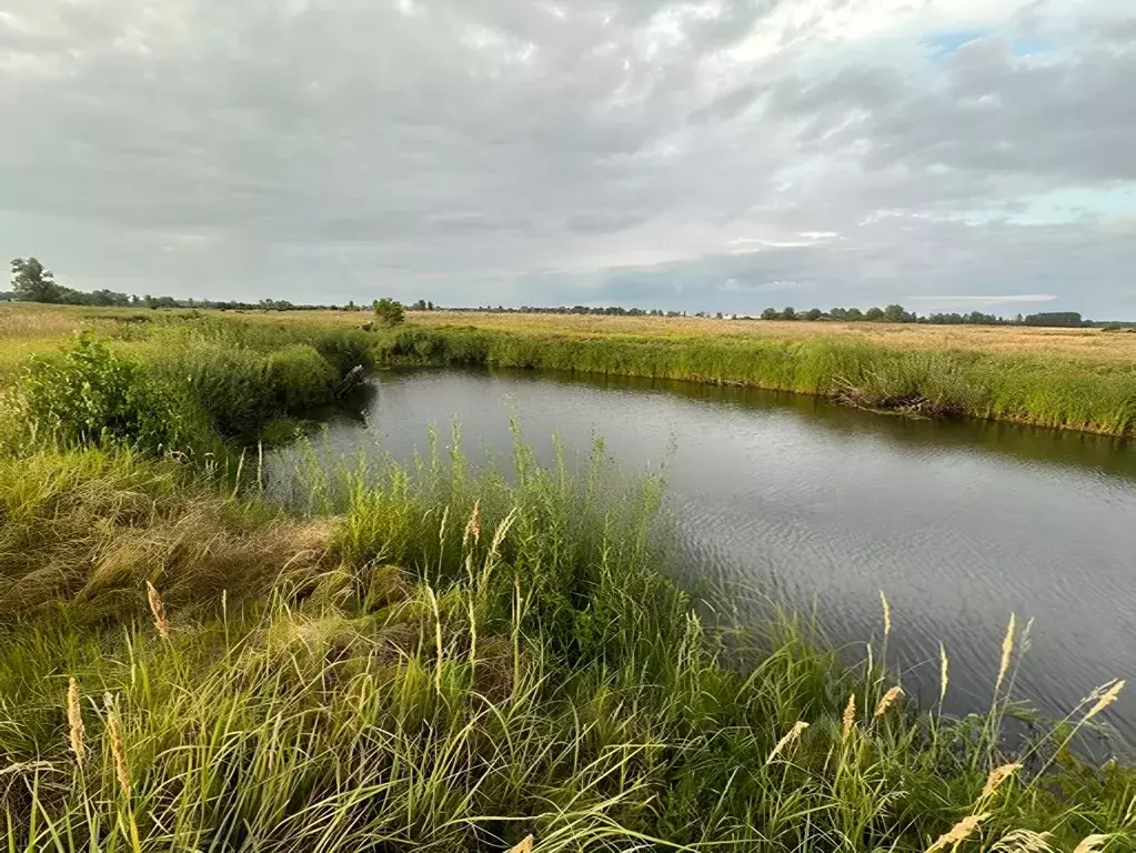 Участок в Татарстан, Лаишевский район, Никольское с/пос, с. Тарлаши ... - Фото 1