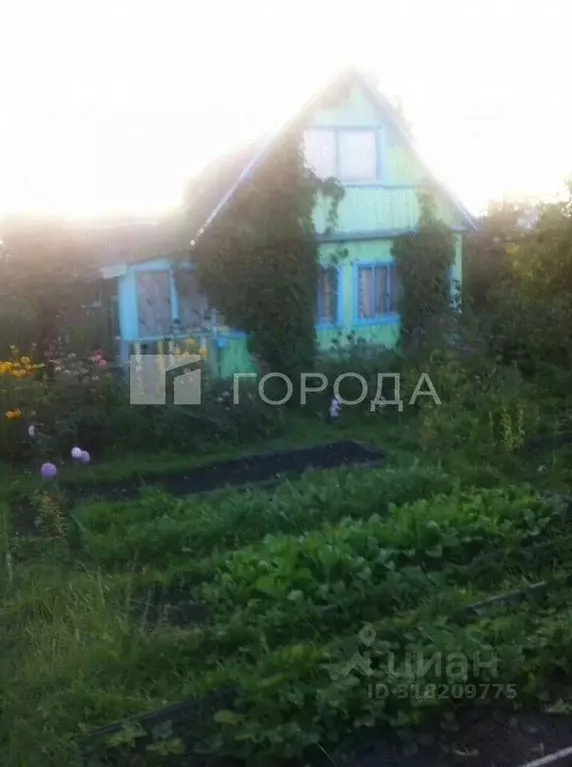 Участок в Новосибирская область, Тогучинский район, Сигнал садовое ... - Фото 0