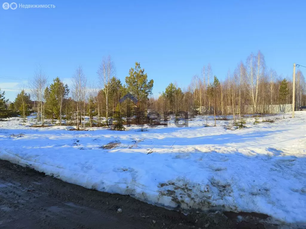 Участок в Зеленодольский район, Большеключинское сельское поселение, ... - Фото 2