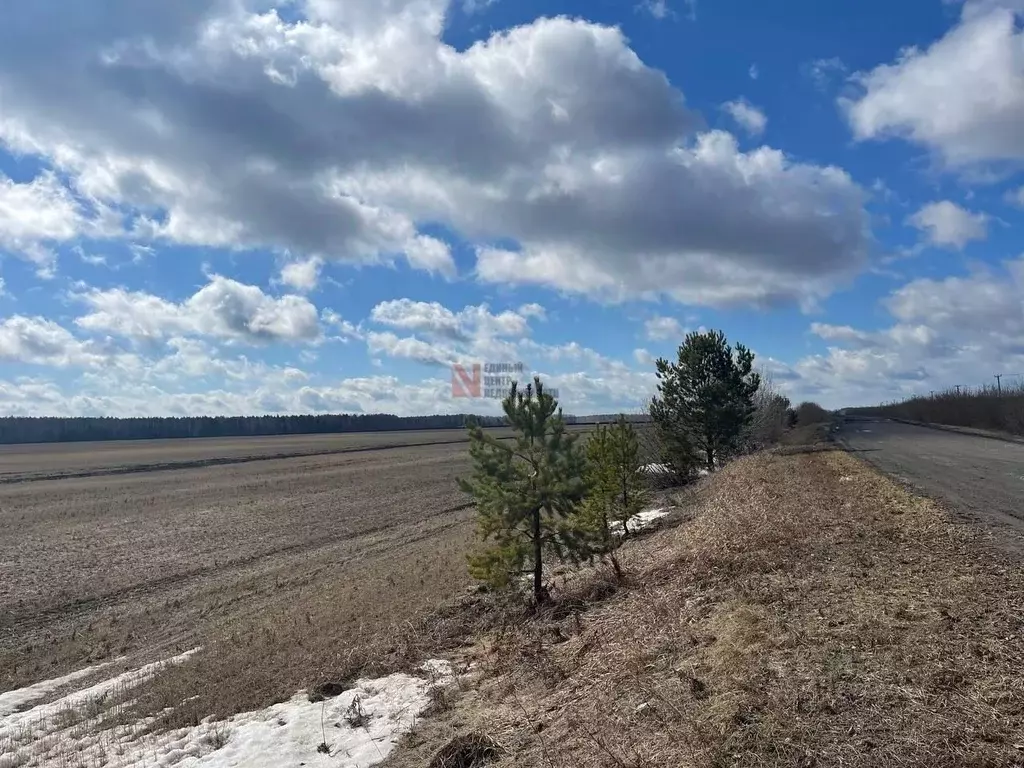 Участок в Тюменская область, Тюменский район, с. Каменка  (100.0 сот.) - Фото 1