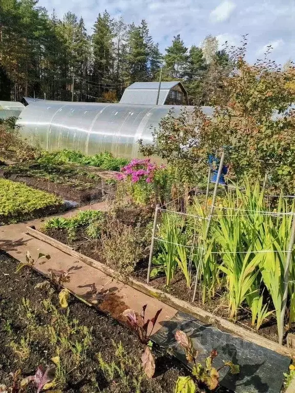 Дом в Кировская область, Слободской район, Бобинское с/пос, Ленок СДТ ... - Фото 1