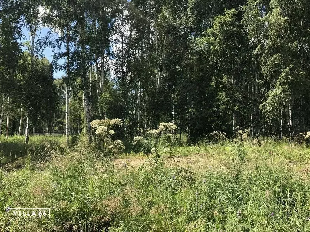 Участок в Свердловская область, Сысертский муниципальный округ, ... - Фото 1