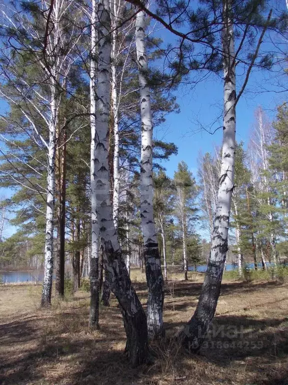 Участок в Свердловская область, Верхнесалдинский муниципальный округ, ... - Фото 1