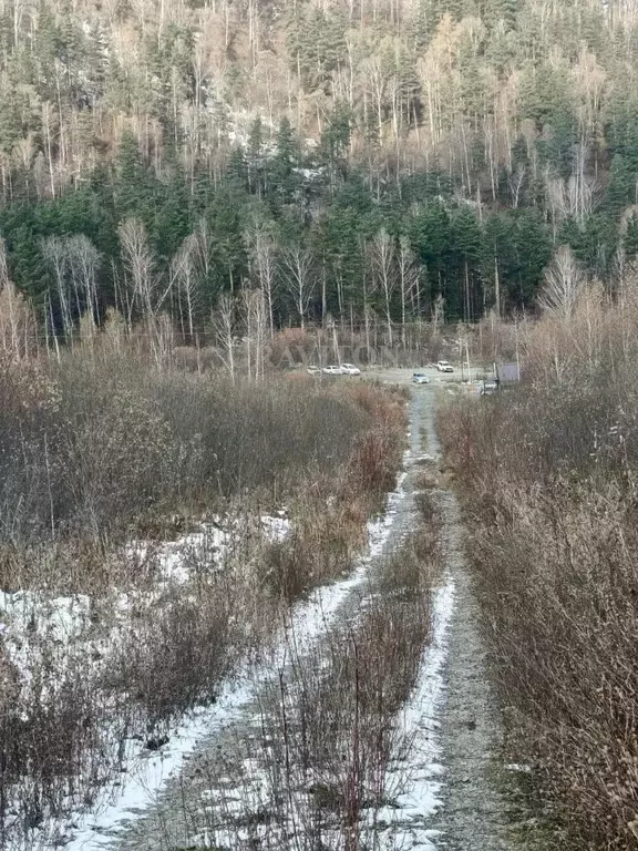 Участок в Алтай, Майминский район, Манжерокское с/пос, с. Озерное ул. ... - Фото 2