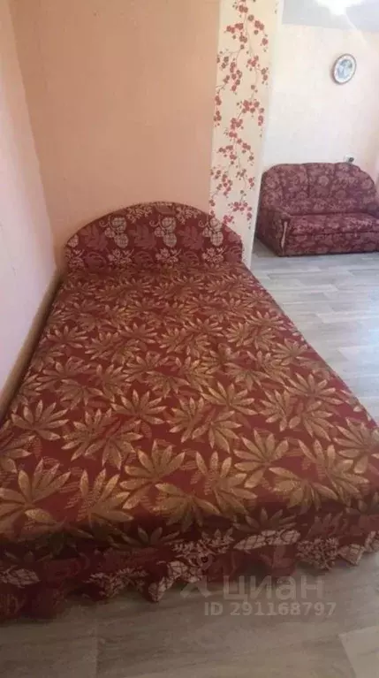 1-к кв. Курганская область, Курган ул. Радионова, 58 (35.0 м) - Фото 0