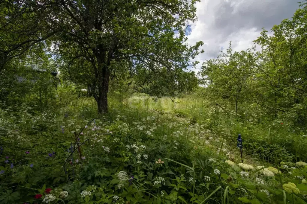 Участок в Нижегородская область, Нижний Новгород Победа СНТ, 118 (5.4 ... - Фото 0