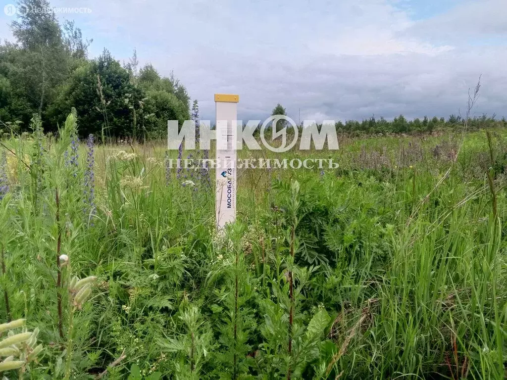Дом в Московская область, городской округ Домодедово, деревня ... - Фото 1